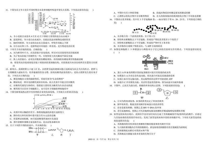 2022-2023学年四川省树德中学高一上学期11月阶段性测试 生物 pdf版02