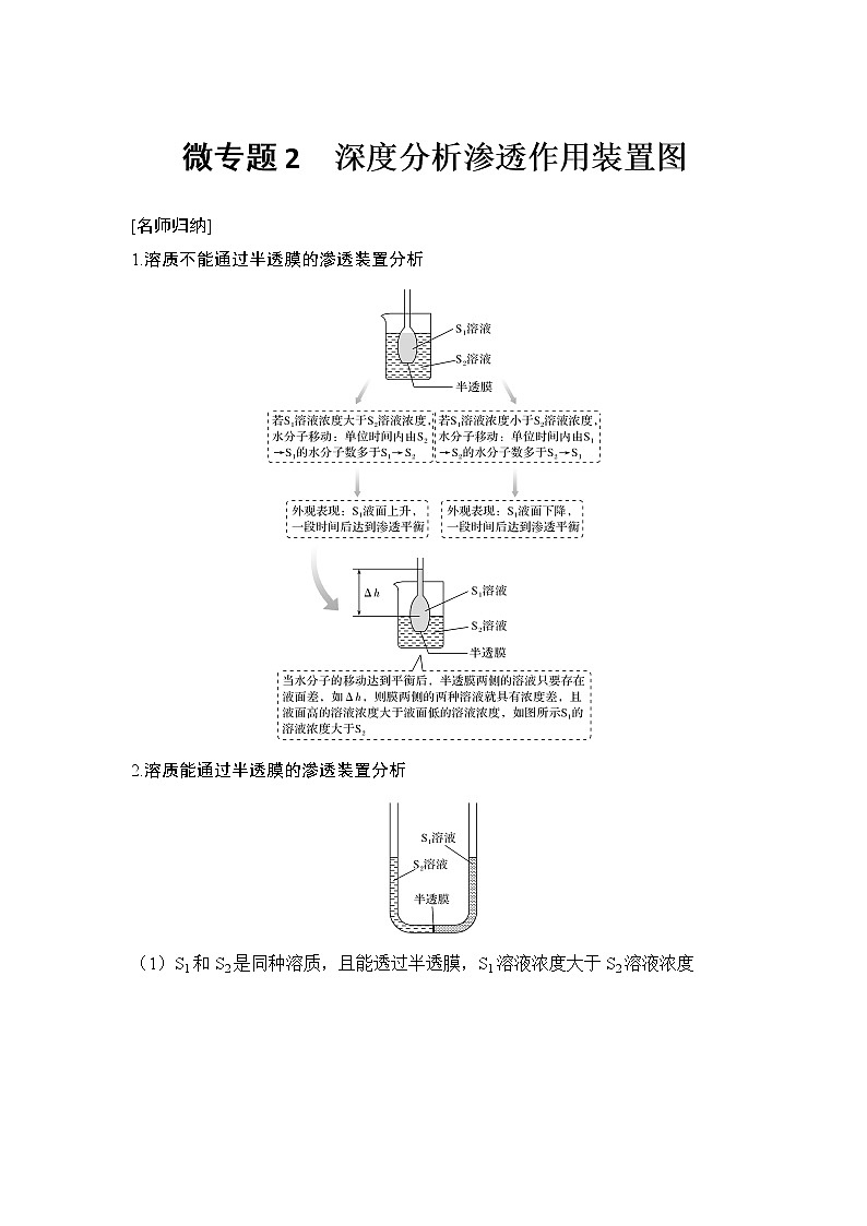 高考生物微专题（通用版）微专题2 深度分析渗透作用装置图第1页