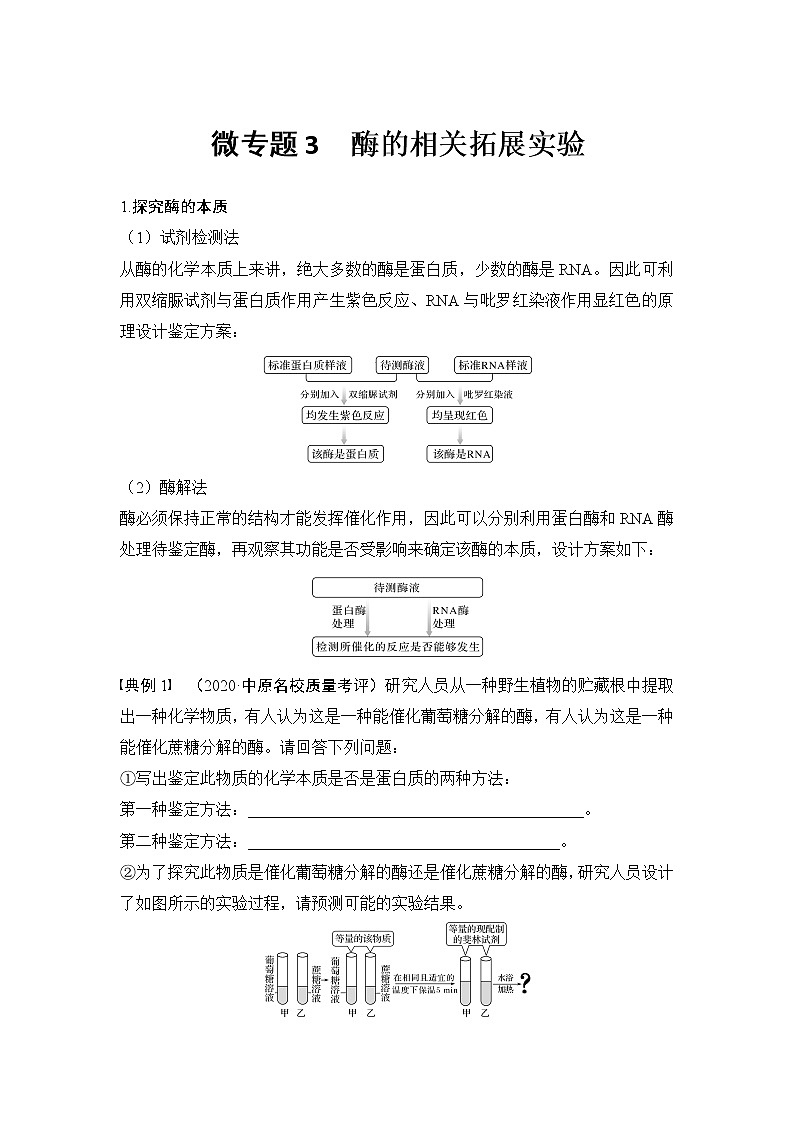 高考生物微专题（通用版）微专题3 酶的相关拓展实验第1页