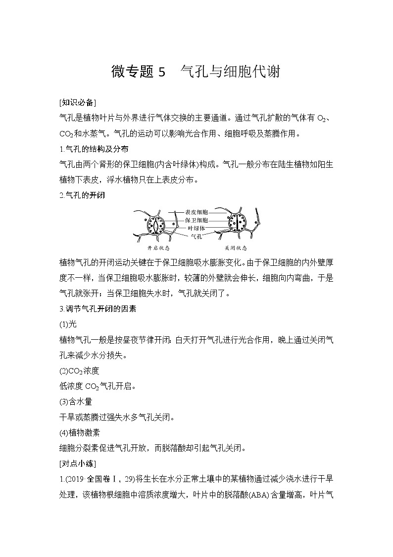 高考生物微专题（通用版）微专题5 气孔与细胞代谢第1页