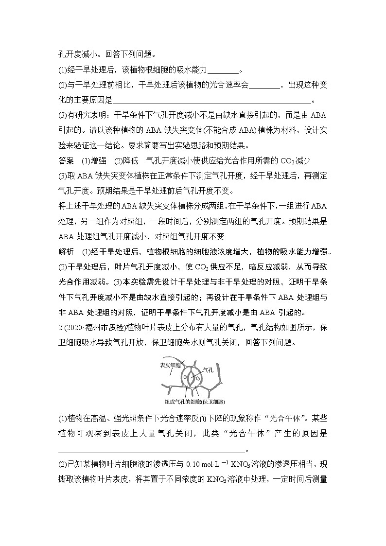高考生物微专题（通用版）微专题5 气孔与细胞代谢第2页