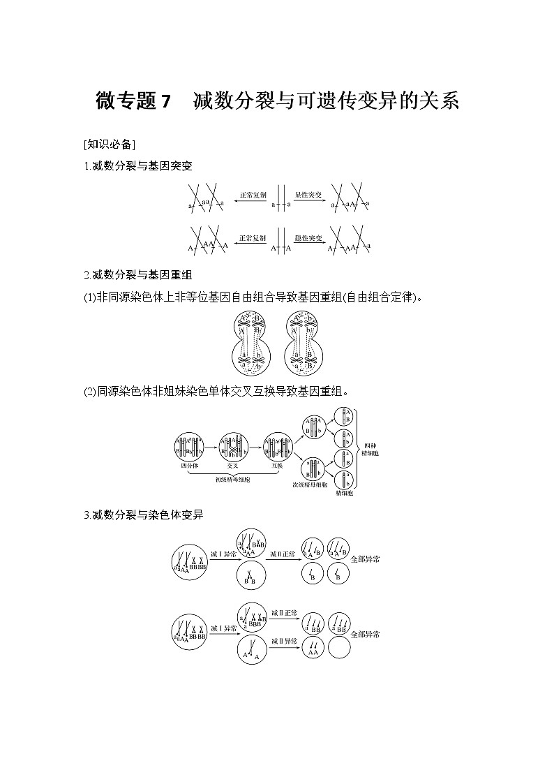 高考生物微专题（通用版）微专题7 减数分裂与可遗传变异的关系第1页