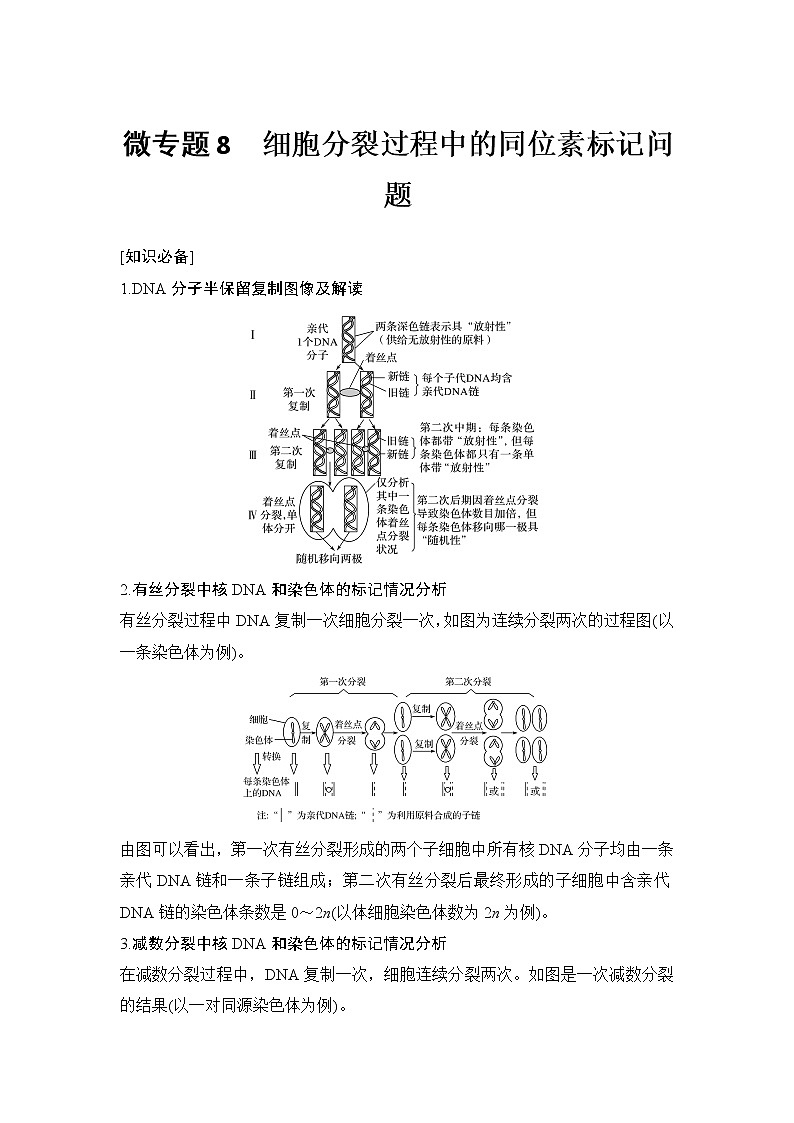 高考生物微专题（通用版）微专题8 细胞分裂过程中的同位素标记问题第1页