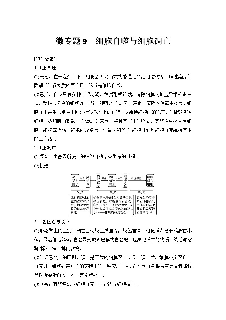 高考生物微专题（通用版）微专题9 细胞自噬与细胞凋亡第1页