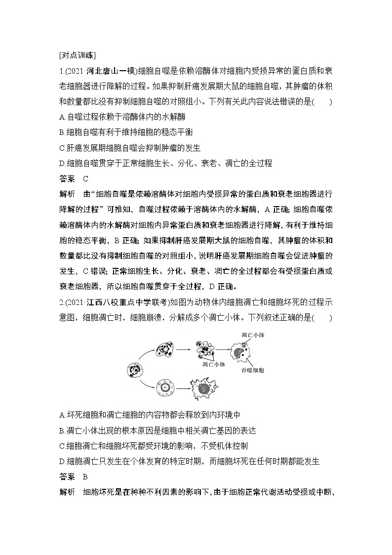 高考生物微专题（通用版）微专题9 细胞自噬与细胞凋亡第2页