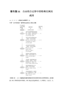 高考生物微专题（通用版）微专题11 自由组合定律中的特殊比例及成因