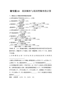 高考生物微专题（通用版）微专题13 基因频率与基因型频率的计算