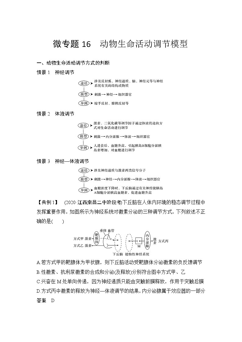 高考生物微专题（通用版）微专题16 动物生命活动调节模型第1页