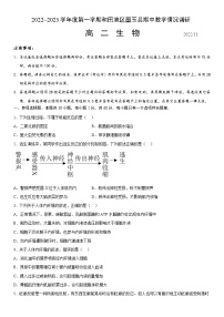 2023维吾尔自治区和田地区墨玉县高二上学期11月期中生物试题含答案