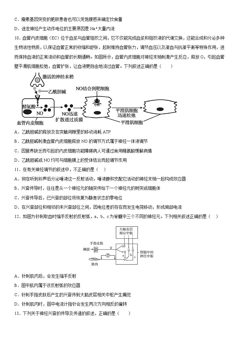 2023维吾尔自治区和田地区墨玉县高二上学期11月期中生物试题含答案03