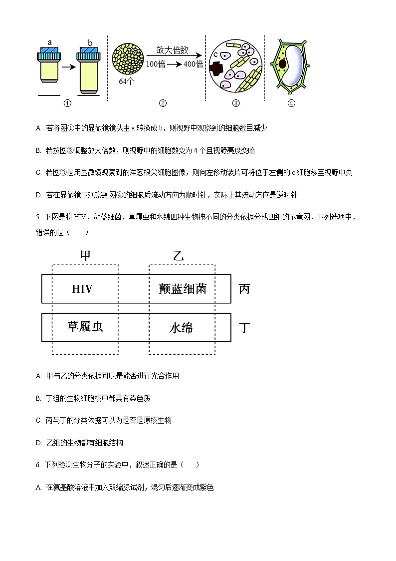 2023天津河西区高一上学期期中考试生物试题含答案02