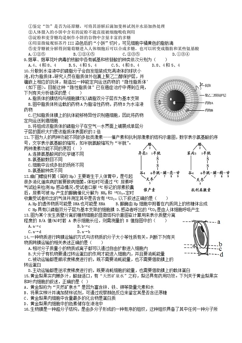 山东省新泰市第一中学2022-2023学年高一上学期期中考试生物试卷第2页