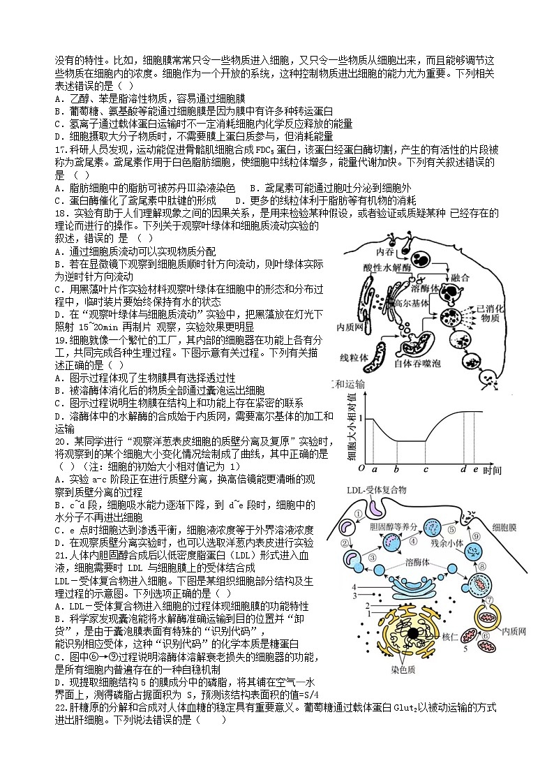 山东省新泰市第一中学2022-2023学年高一上学期期中考试生物试卷第3页
