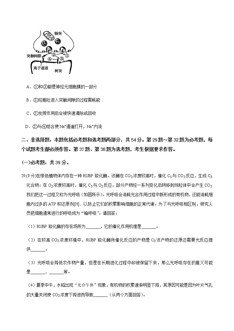 高中生物黄金卷04-【赢在高考•黄金20卷】备战2021高考生物全真模拟卷（新课标）（无答案）第3页