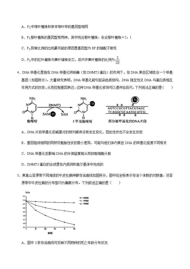 高中生物黄金卷05-【赢在高考•黄金20卷】备战2021高考生物全真模拟卷（新课标）（无答案）02