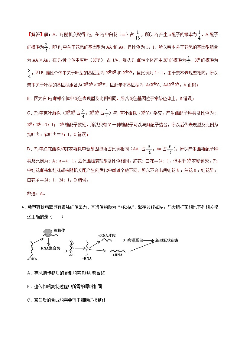 高中生物黄金卷07-【赢在高考•黄金20卷】备战2021高考生物全真模拟卷（新课标）（有答案）第3页