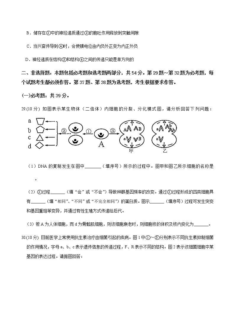 高中生物黄金卷08-【赢在高考•黄金20卷】备战2021高考生物全真模拟卷（新课标）（无答案）第3页