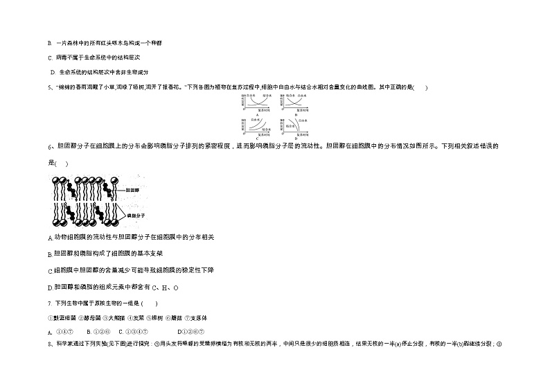 河北省魏县第五中学2022-2023学年度高一上学期期中生物试卷（含答案）第2页