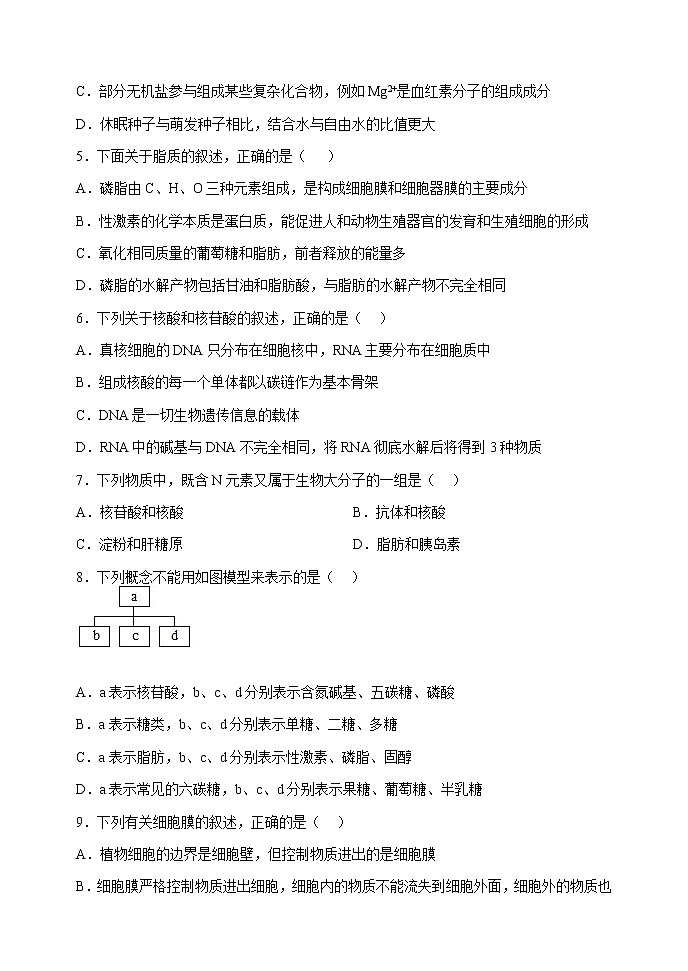 黑龙江省哈尔滨师范大学青冈实验中学校2022-2023学年高一上学期期中考试生物试题（含答案）02