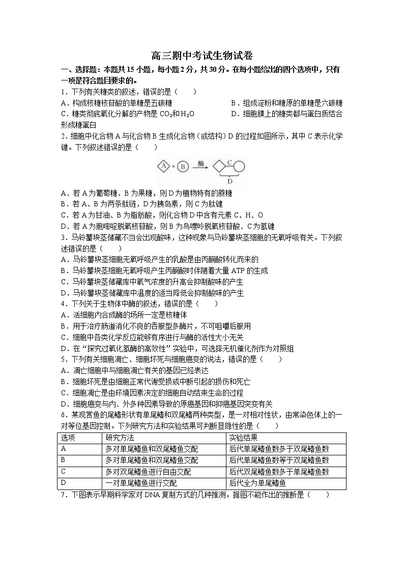 辽宁省县级重点高中联合体2022-2023学年高三上学期期中生物试题（含答案）01