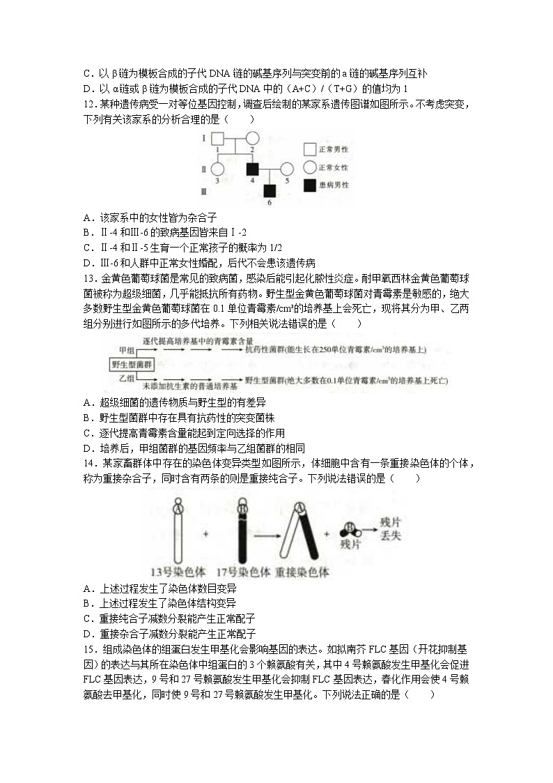 辽宁省县级重点高中联合体2022-2023学年高三上学期期中生物试题（含答案）03