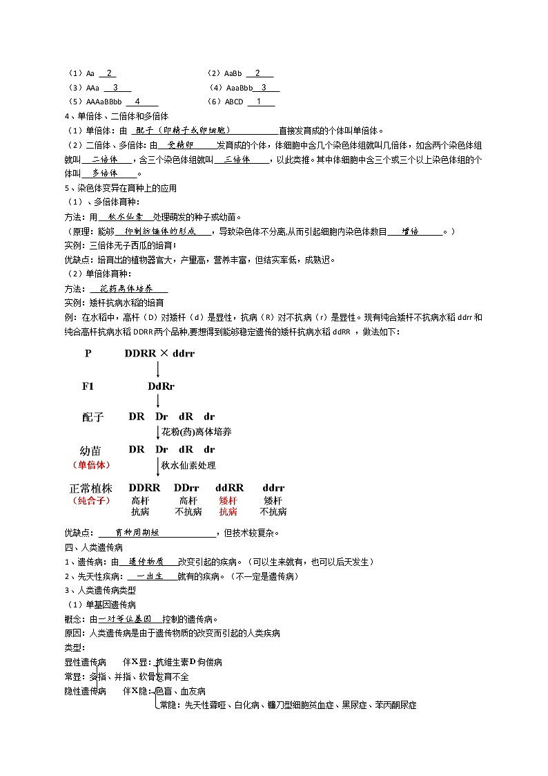 高中生物专题3 变异、育种与进化-【复习宝典】2021年高考生物必修知识点归纳（背记版）第2页