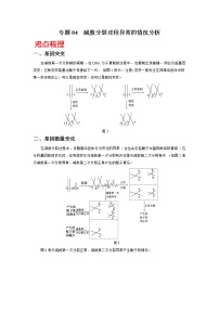 高中生物专题04 减数分裂过程异常的情况分析-备战2021年高考生物核心考点透析（无答案）