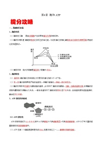 高中生物专题04 酶和ATP-备战2021年高考生物专题提分攻略（无答案）