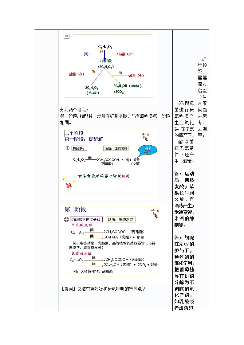 高中生物人教版（新课程）必修1《分子与细胞》5.3ATP的主要来源──细胞呼吸教学设计第3页
