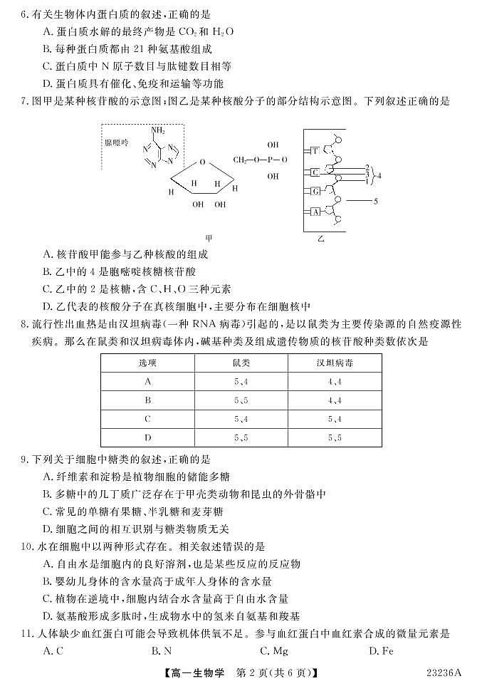 武汉市水果湖中学2022-2023学年度第一学期期中教学质量检测试题高一生物学02