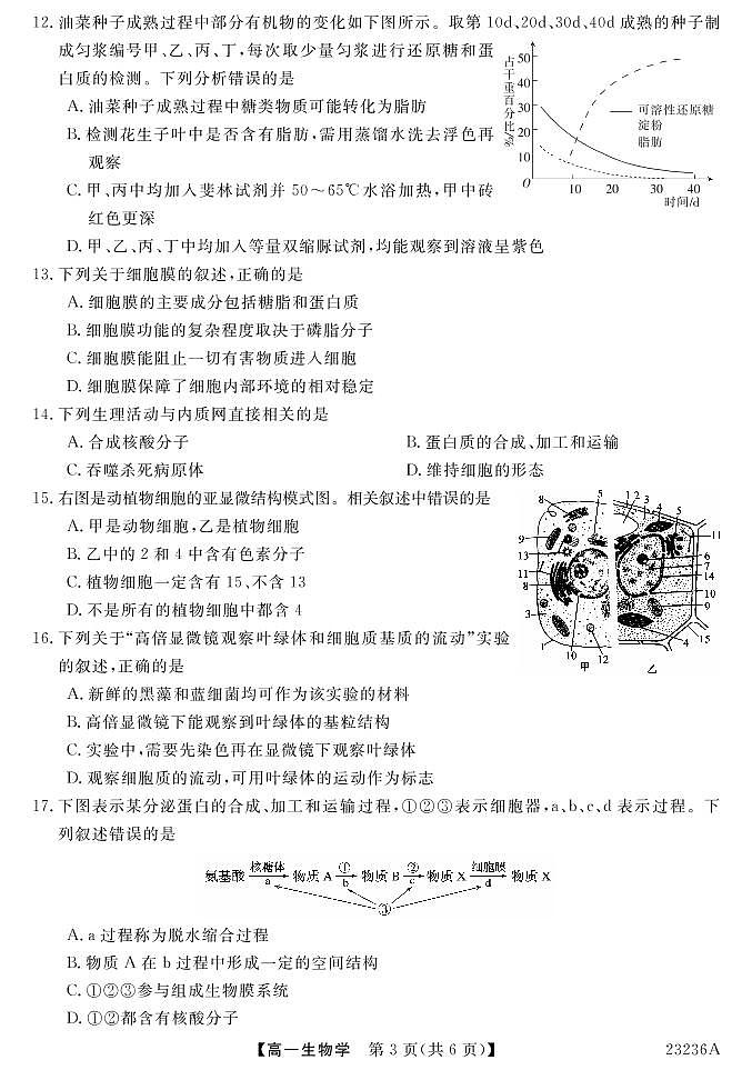 武汉市水果湖中学2022-2023学年度第一学期期中教学质量检测试题高一生物学03