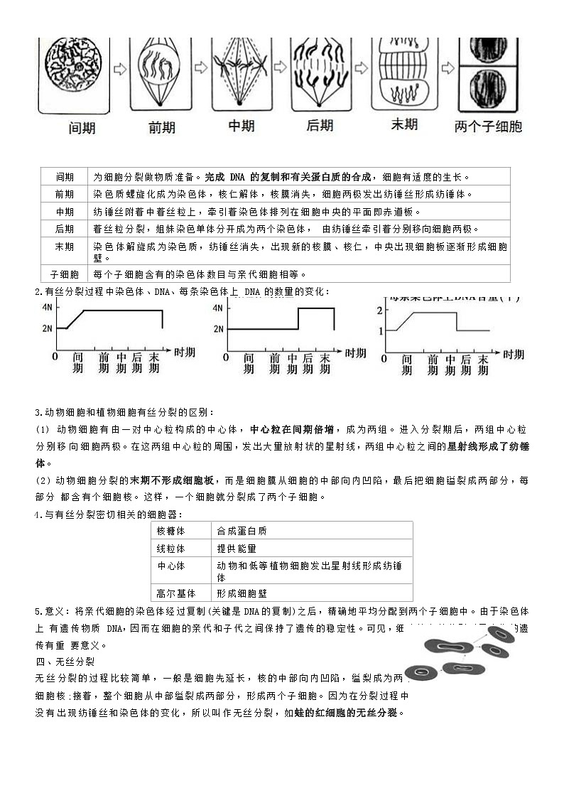 第六章  细胞的生命历程（知识点归纳）02