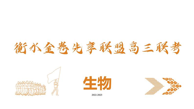 衡水金卷先享联盟高三联考【湖南片区】（正文、答案、网评、PPT）生物01