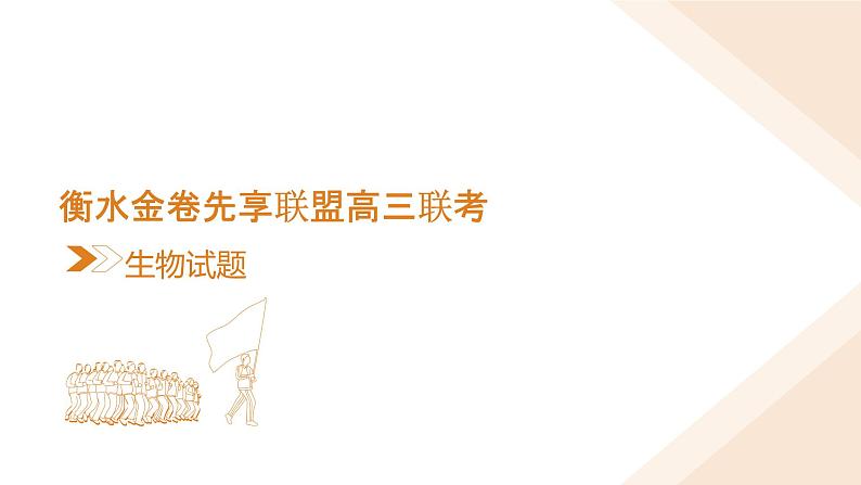 衡水金卷先享联盟高三联考【湖南片区】（正文、答案、网评、PPT）生物02