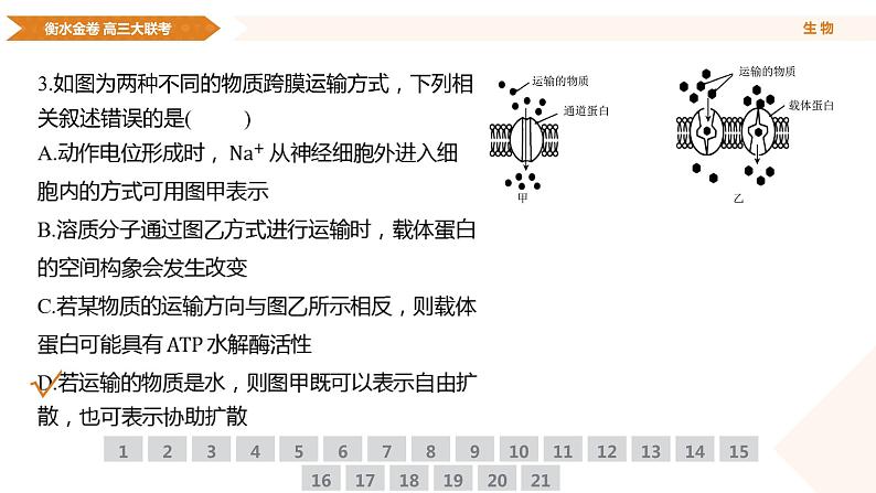 衡水金卷先享联盟高三联考【湖南片区】（正文、答案、网评、PPT）生物08