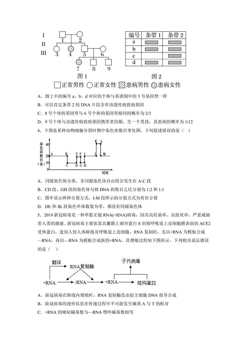 2023年山东省普通高等学校招生全国统一考试全真模拟生物试题第2页
