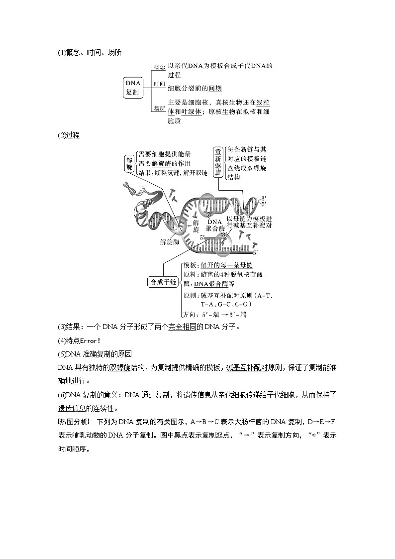 高中生物2023年高考生物一轮复习（新人教新高考） 第6单元 第3课时　DNA的复制 试卷02