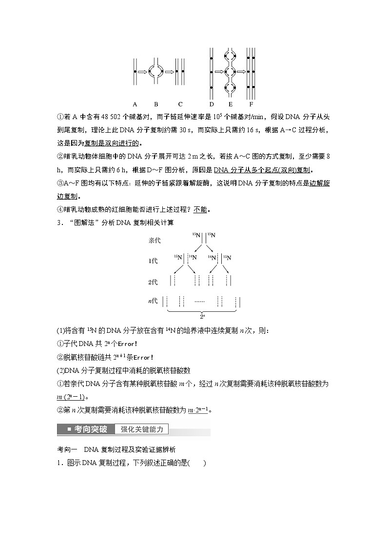 高中生物2023年高考生物一轮复习（新人教新高考） 第6单元 第3课时　DNA的复制 试卷03