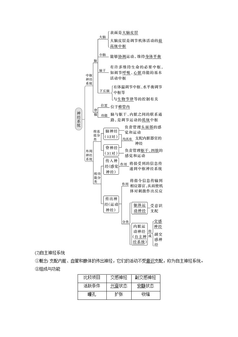 高中生物2023年高考生物一轮复习（新人教新高考） 第8单元 第2课时　神经调节的结构基础及基本方式第2页