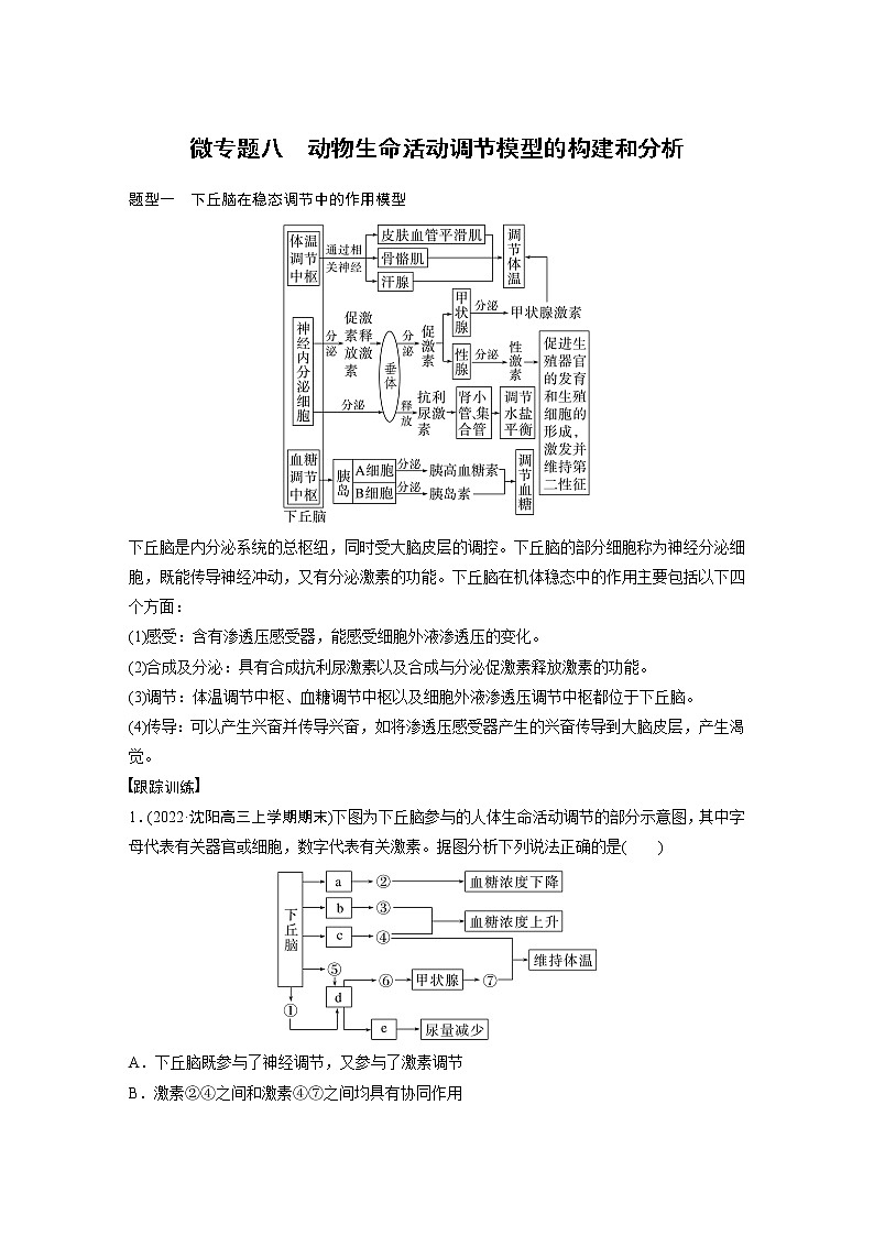 高中生物2023年高考生物一轮复习（新人教新高考） 第8单元 微专题八　动物生命活动调节模型的构建和分析01