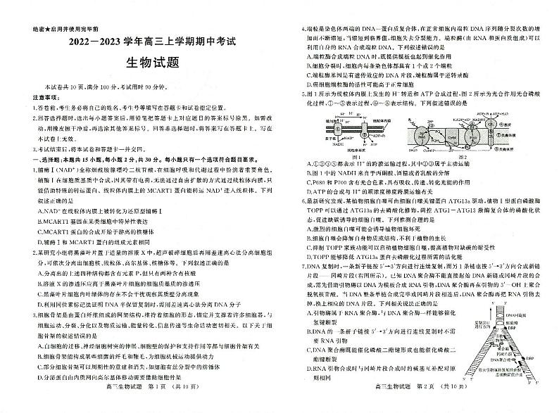 2023济南高三上学期11月期中考试生物试题PDF版含答案01