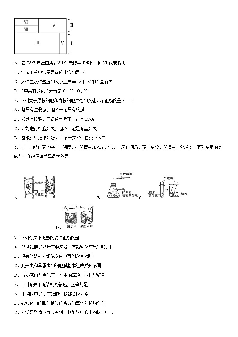 2023维吾尔自治区和田地区洛浦县高三上学期11月期中考试生物含答案第2页