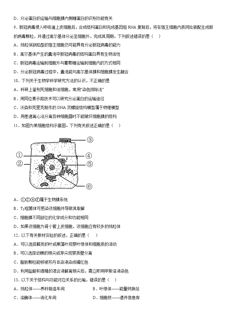 2023维吾尔自治区和田地区洛浦县高三上学期11月期中考试生物含答案第3页
