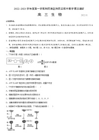 2023维吾尔自治区和田地区和田县高三上学期11月期中考试生物含答案