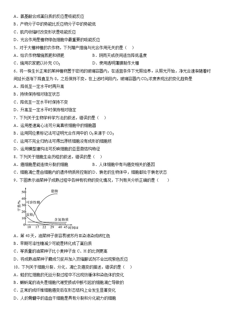 2023维吾尔自治区和田地区二中高三上学期11月期中考试生物含答案第2页