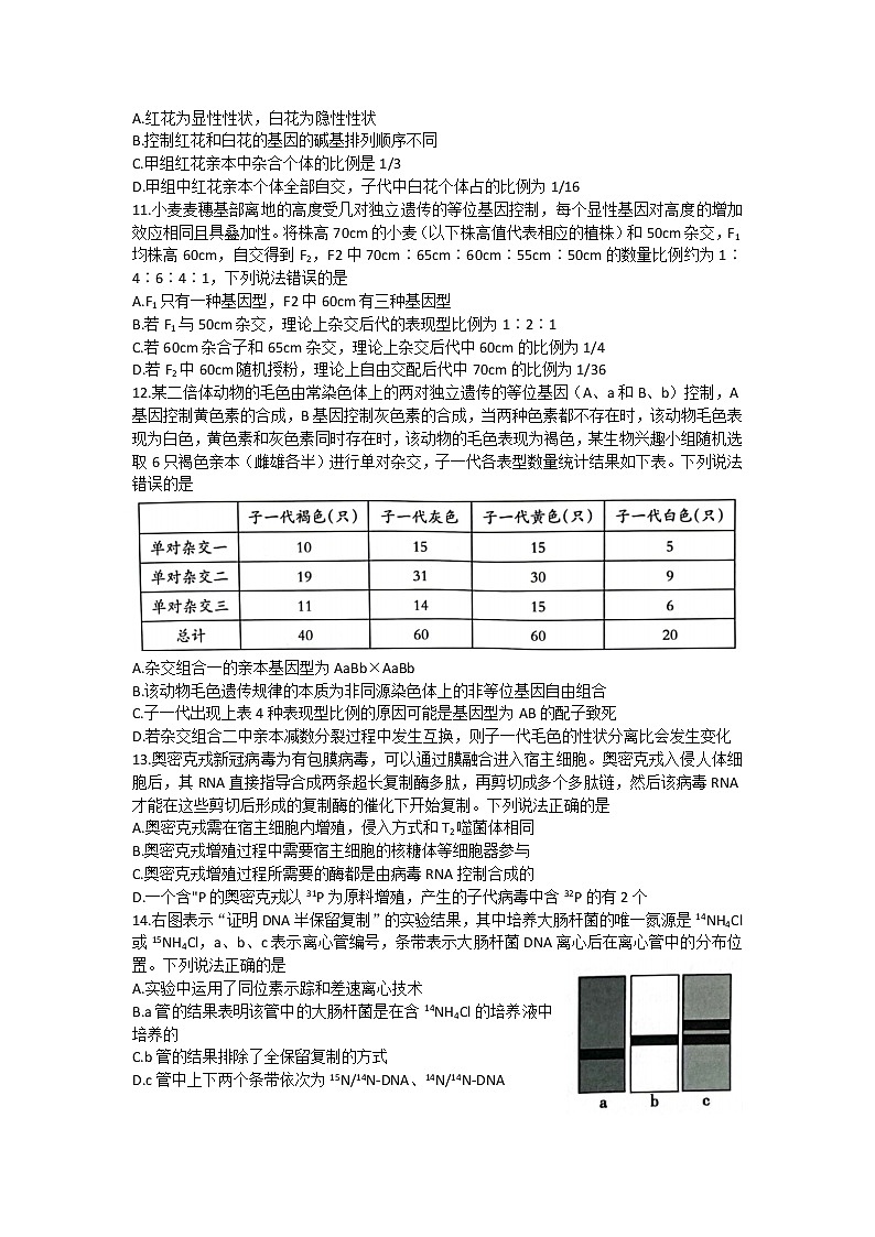 2023泰安高三上学期11月期中考试生物含答案03