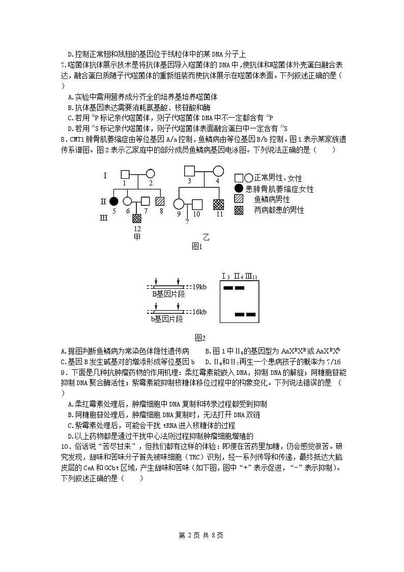2023葫芦岛四校高三上学期期中联考试题生物含答案02