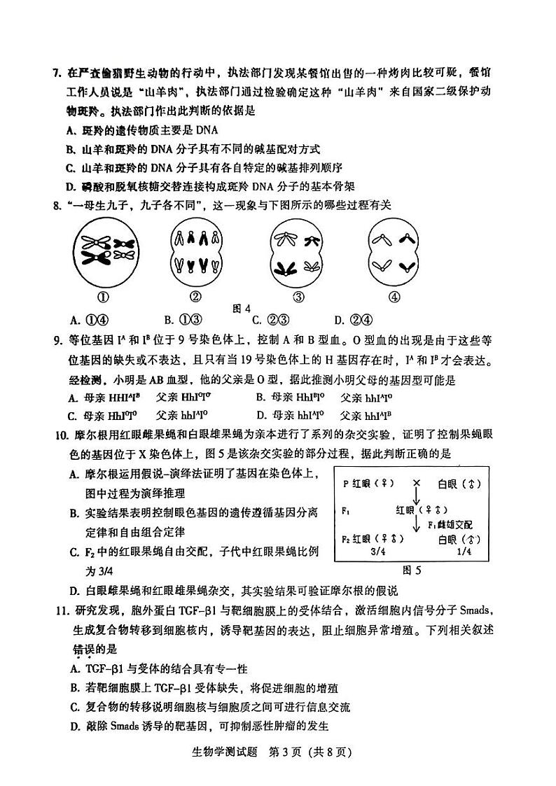 2023韶关高三上学期综合测试（一）（11月）生物PDF版无答案03