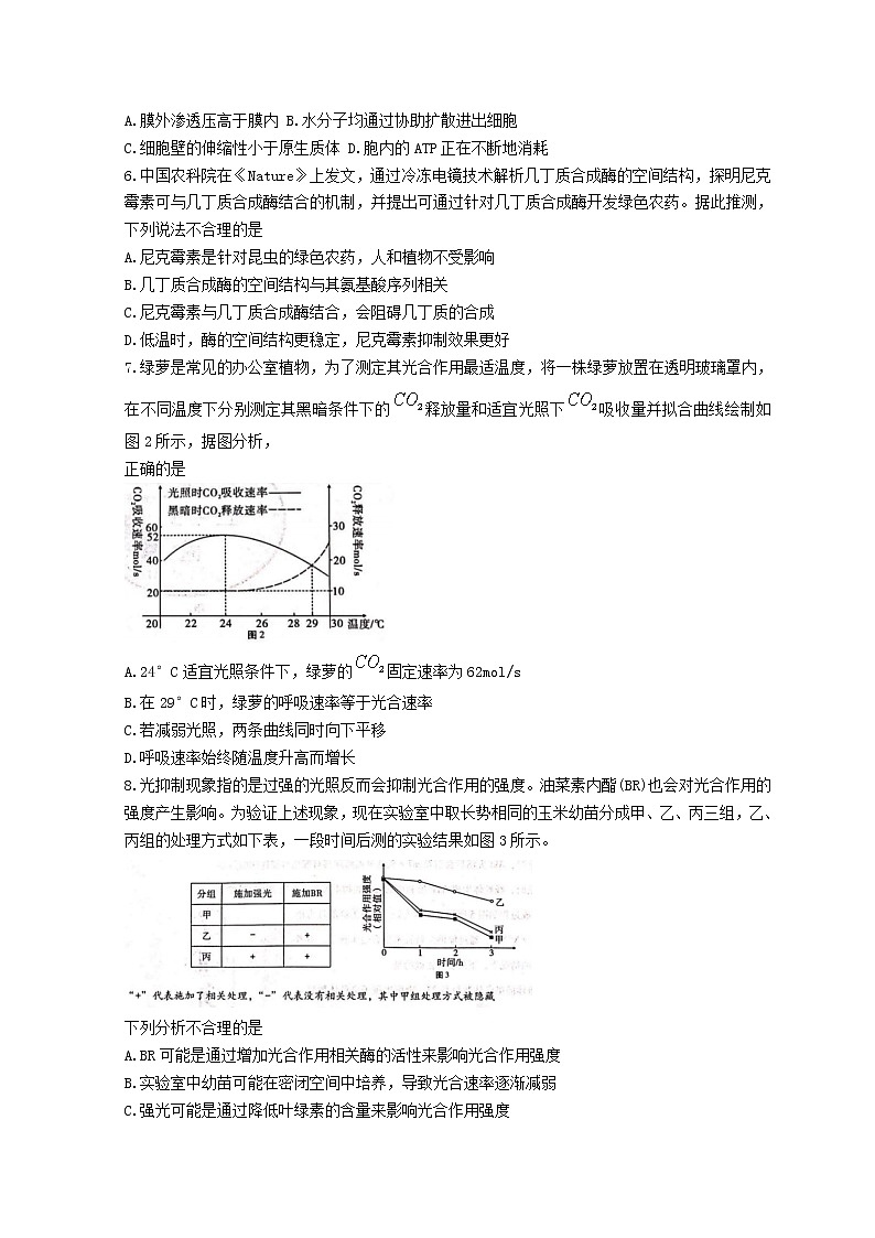 2023届重庆市第八中学校高三上学期高考适应性月考卷（二）生物试题和解析02
