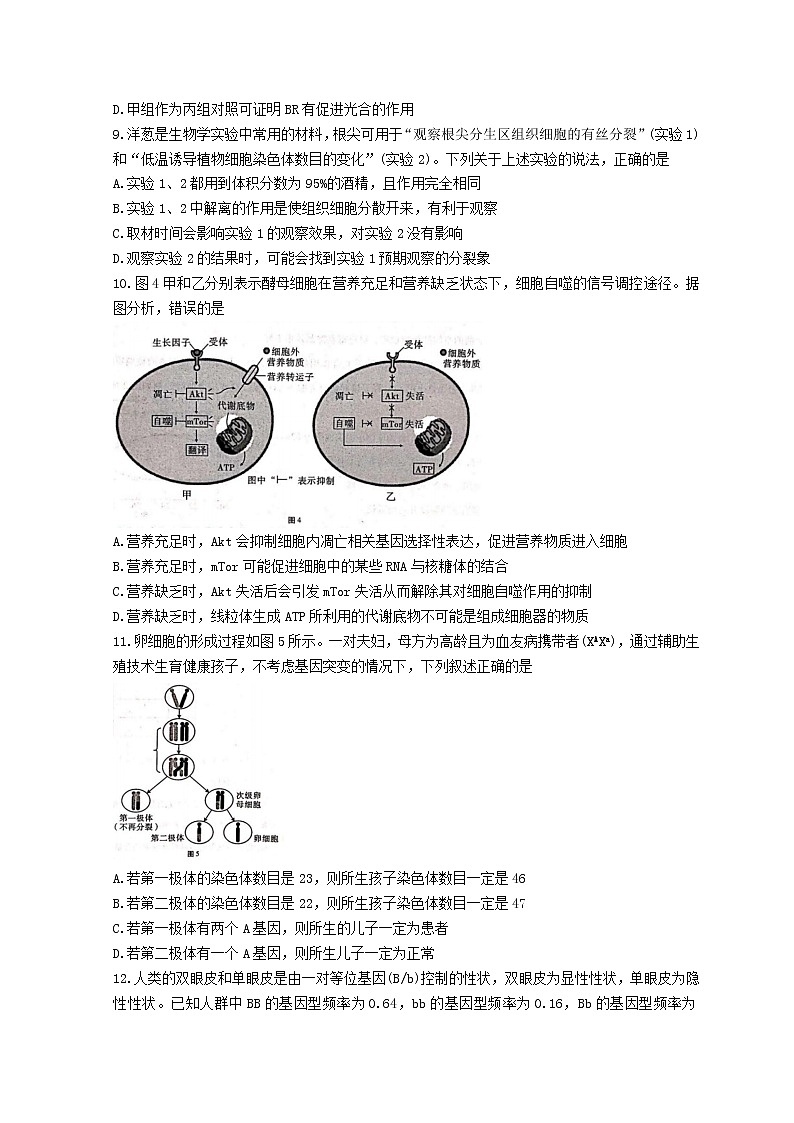 2023届重庆市第八中学校高三上学期高考适应性月考卷（二）生物试题和解析03